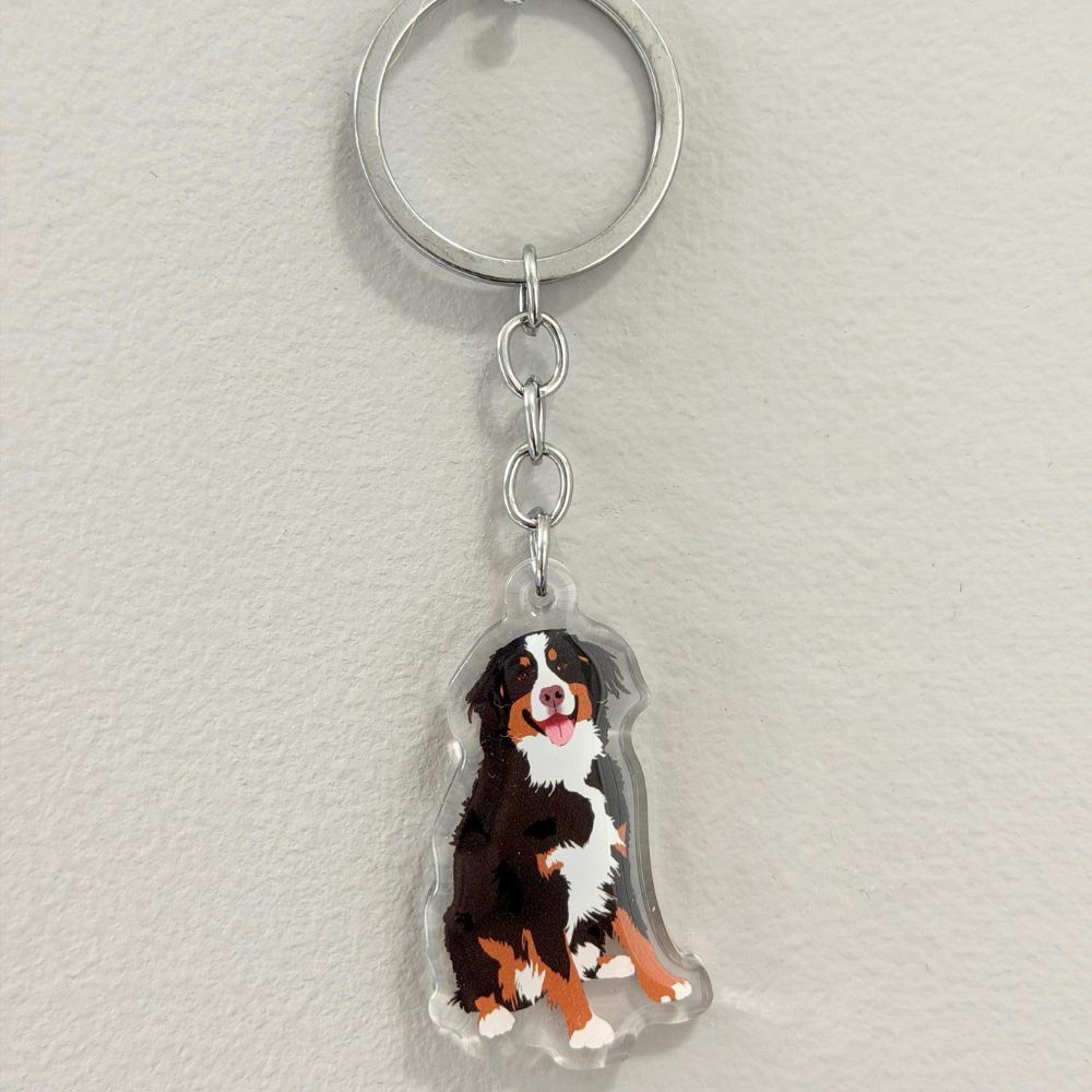 Bernese Mountain Dog