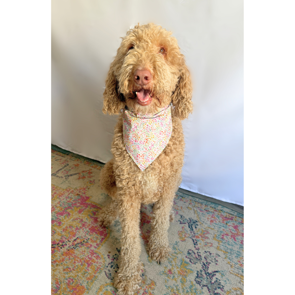 Pastel Spring Florals with Purple Gingham Reversible Spring Bandana for Pets