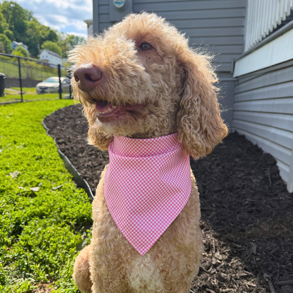Pink Beach Crabs Bandana