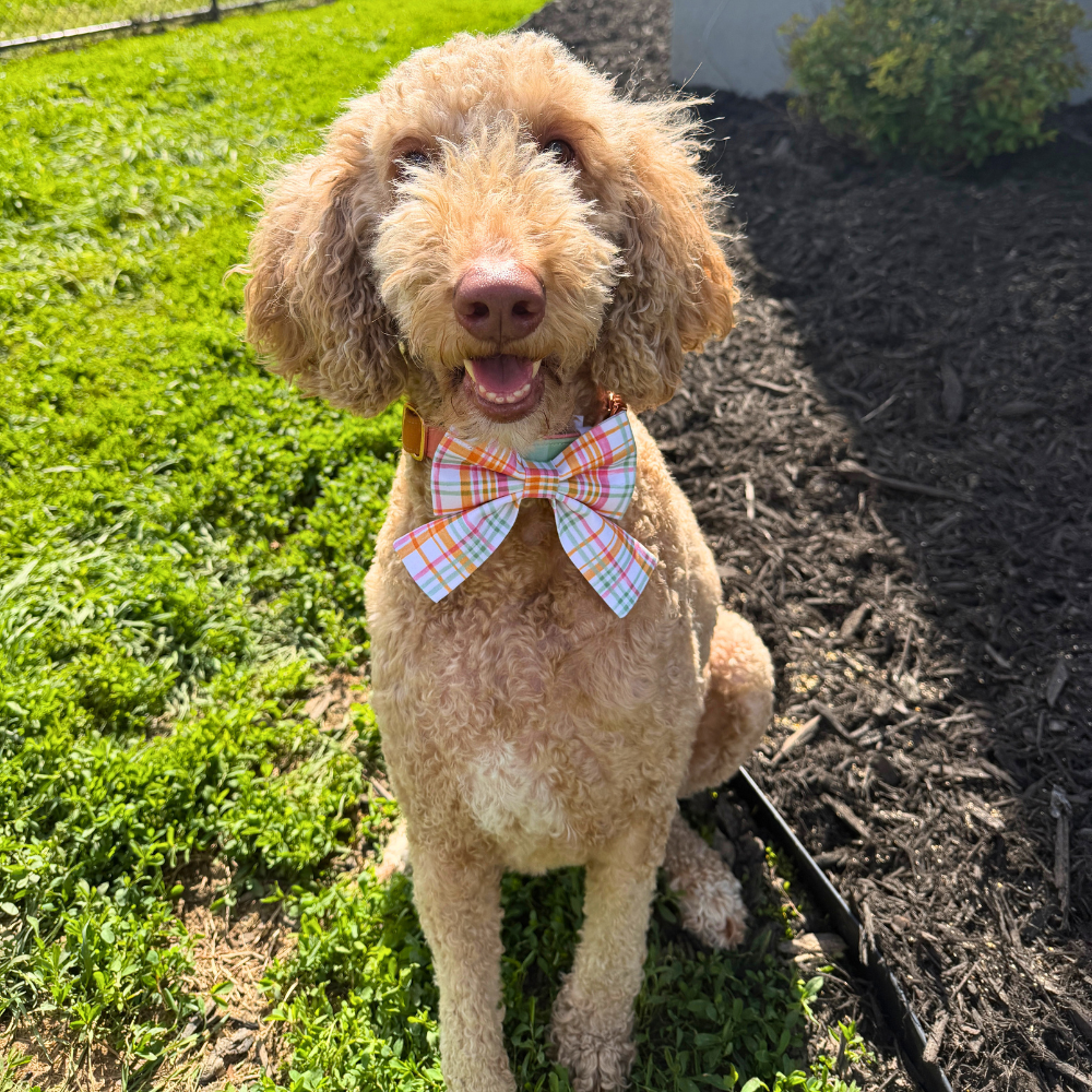 Bright Summer Plaid Sailor Bow