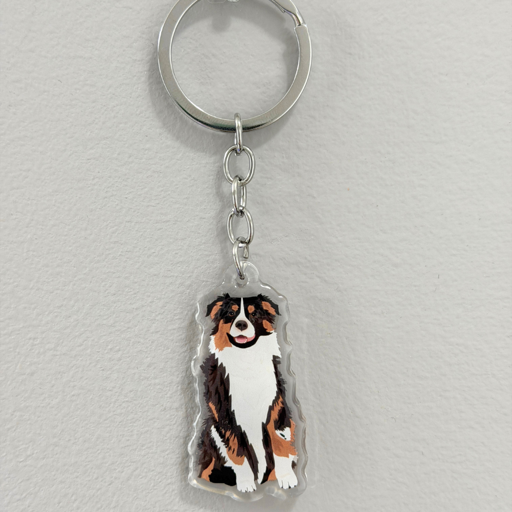 Australian Shepherd