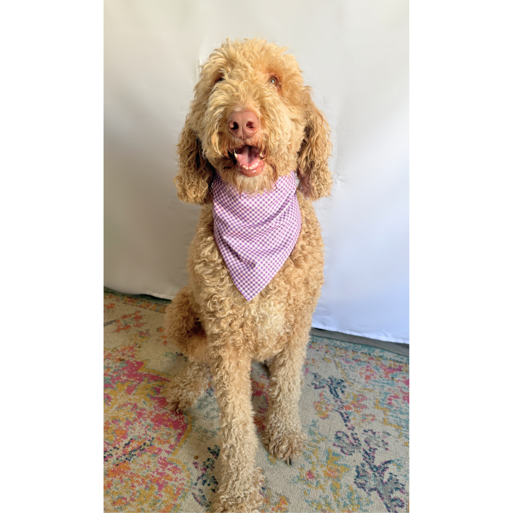 Pastel Spring Florals with Purple Gingham Reversible Spring Bandana for Pets