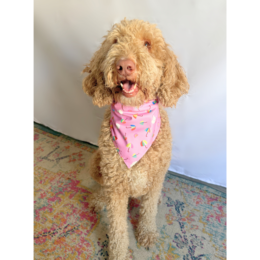 Spring Showers and Checkered Sunshines Reversible Bandana for Pets