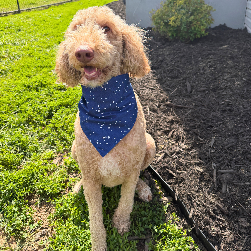 Red, White, & Blue Pinwheels Bandana