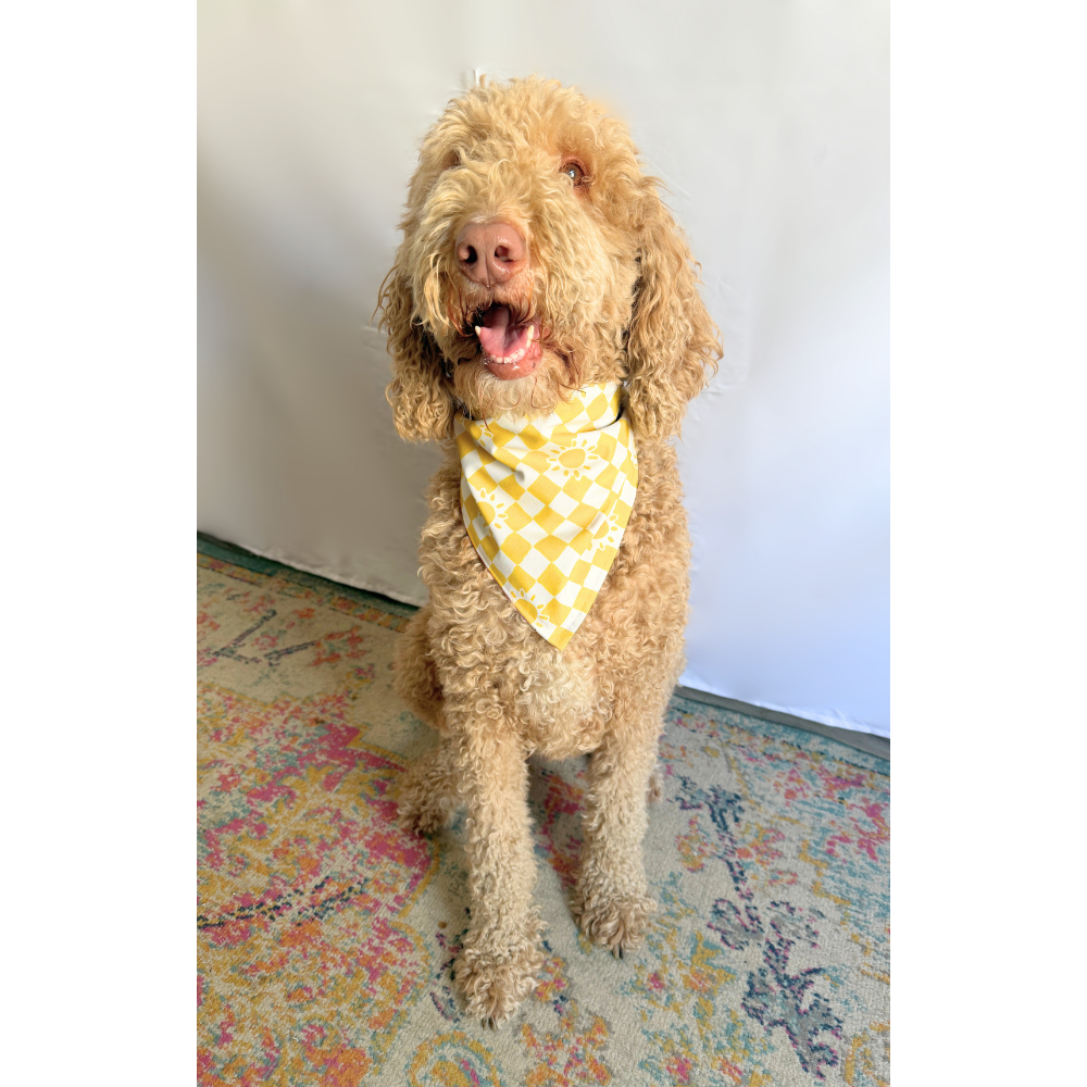 Spring Showers and Checkered Sunshines Reversible Bandana for Pets