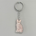 Gray Tabby Cat