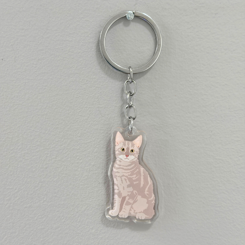 Gray Tabby Cat