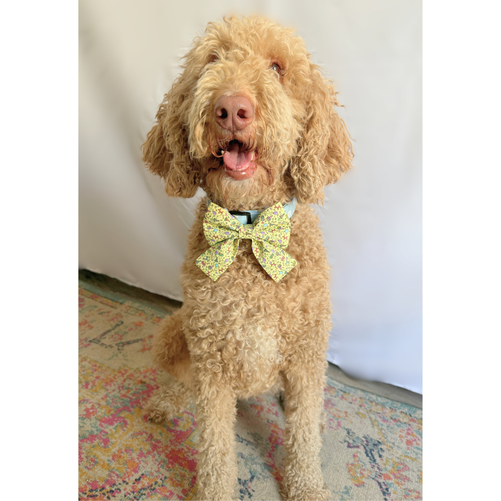 Yellow Birthday Sailor Bows For Pets