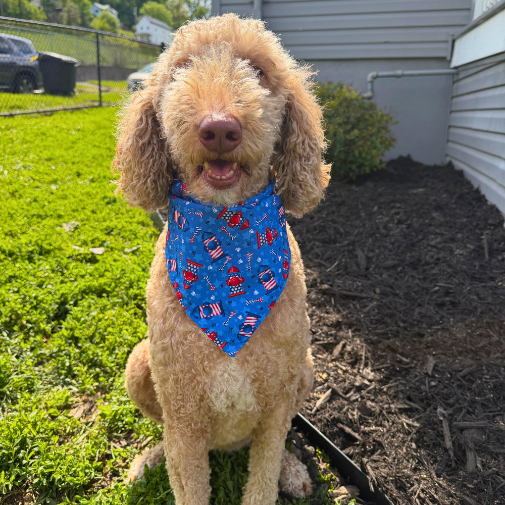 Patriotic Fire Hydrant Bandana