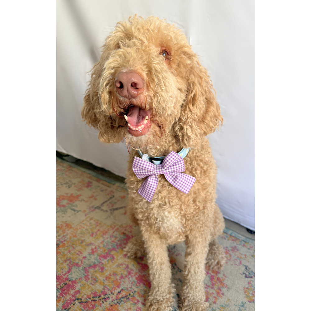 Bright Purple Gingham Spring Sailor Bows For Pets