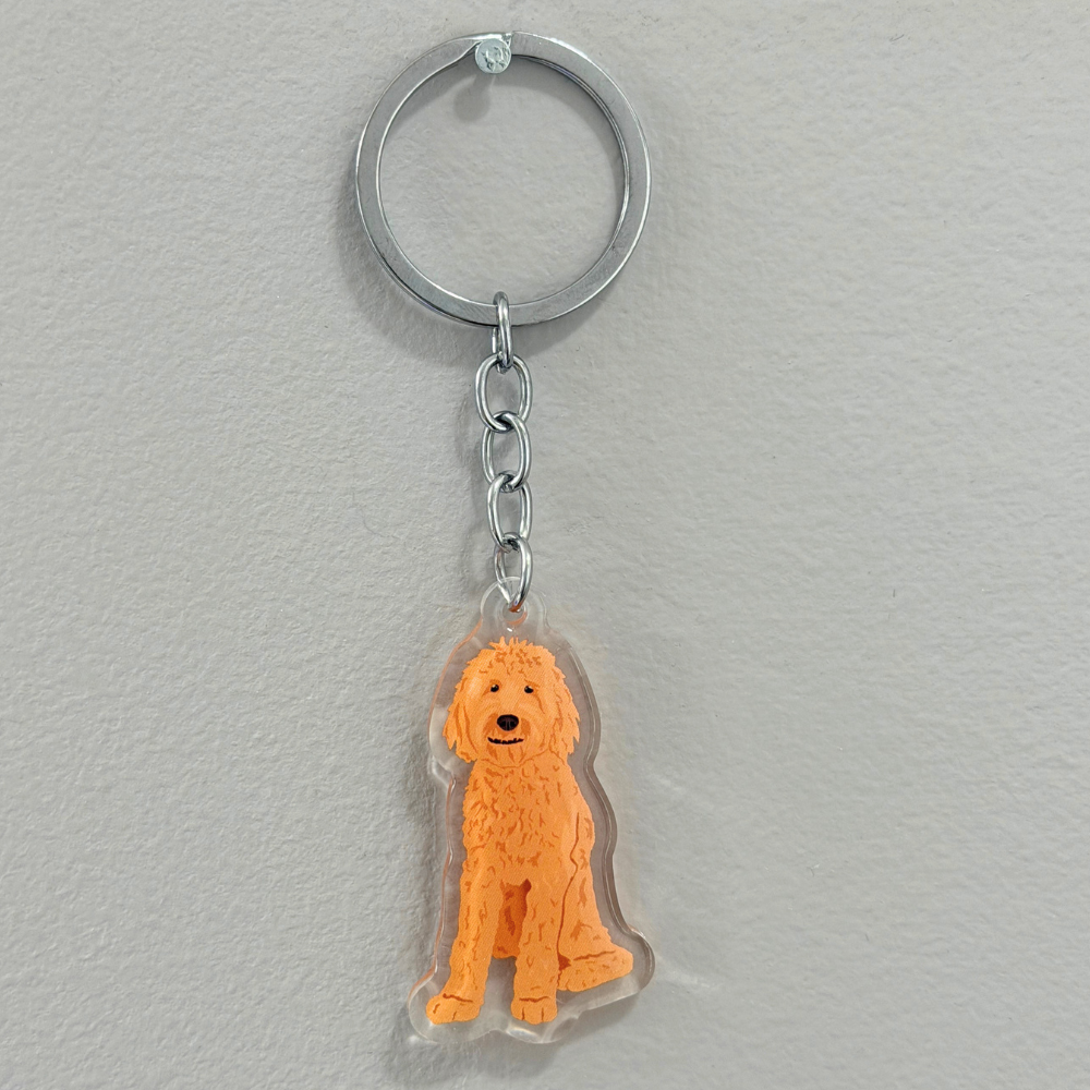 Goldendoodle