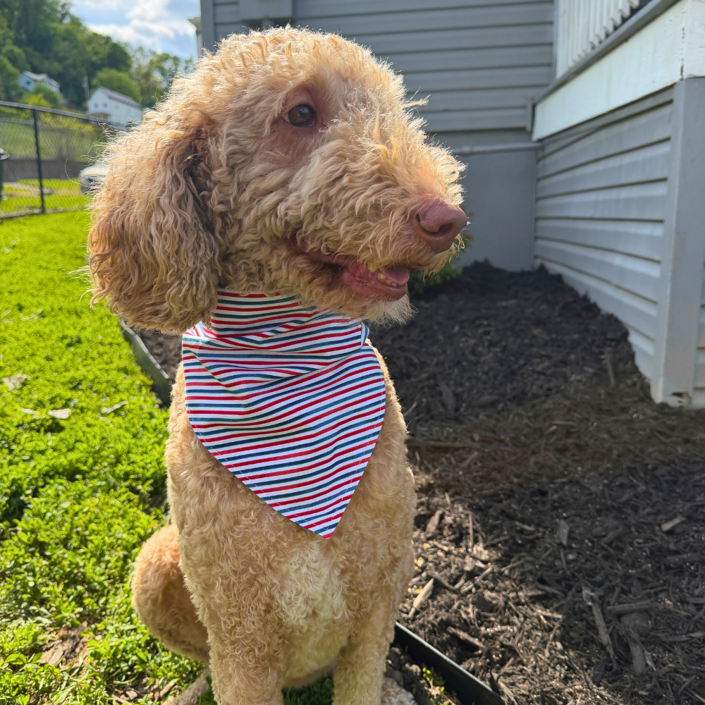 Patriotic Fire Hydrant Bandana