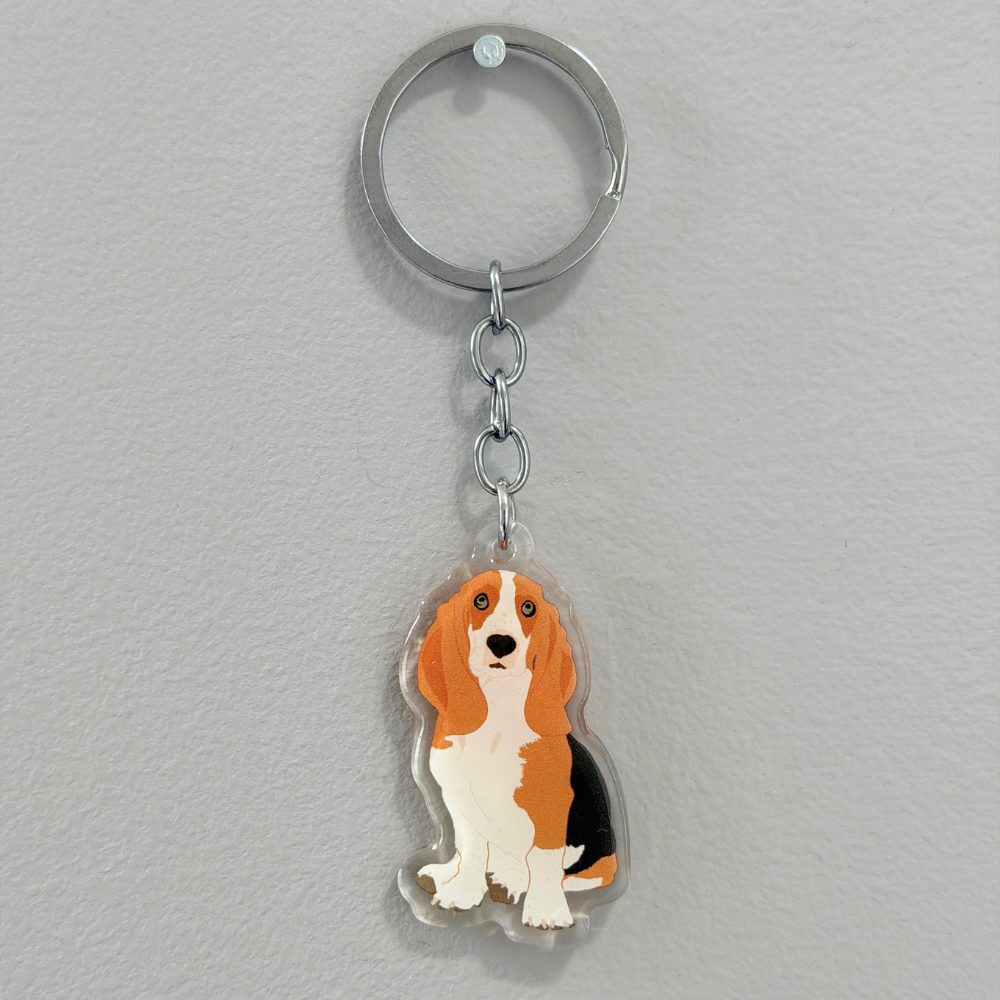 Basset Hound