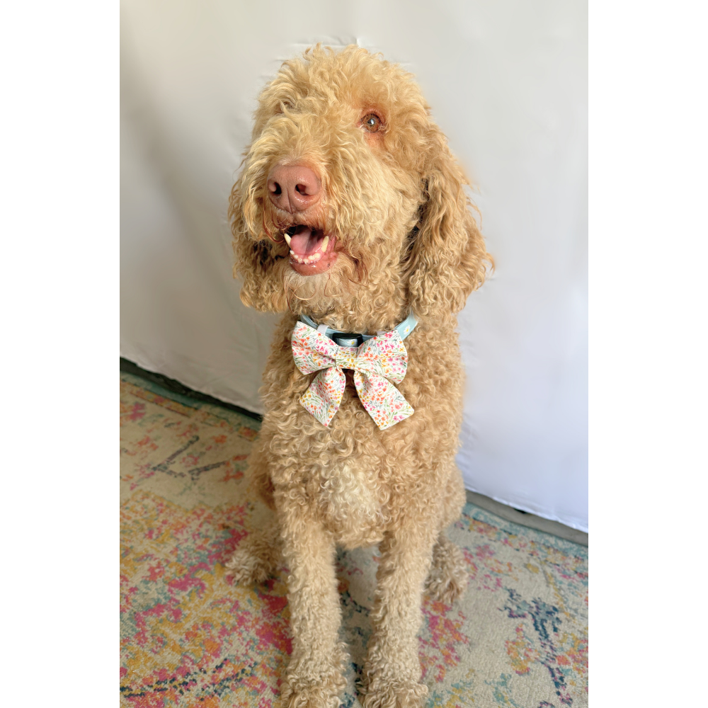 Pastel Spring Florals Sailor Bows For Pets
