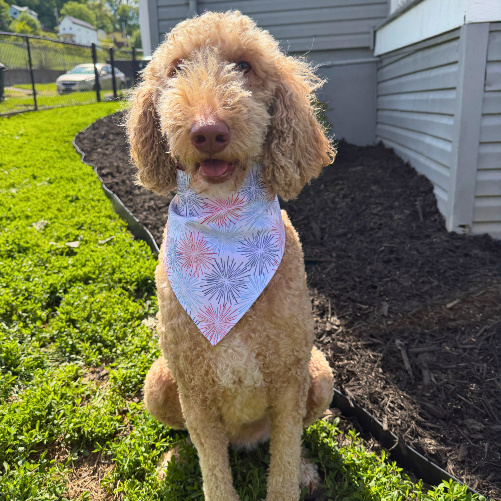 Patriotic Ice Cream Cones Bandanas