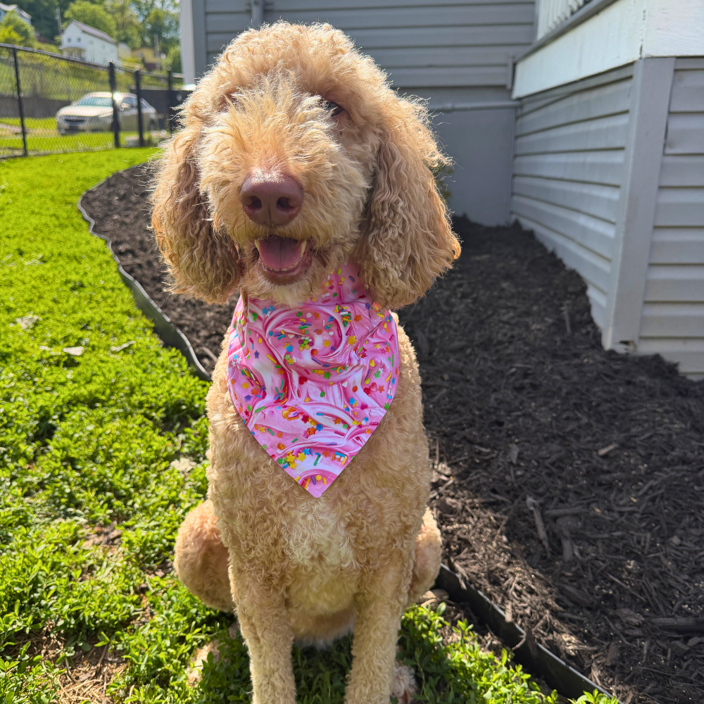 Summer Ice Cream Cones Bandana