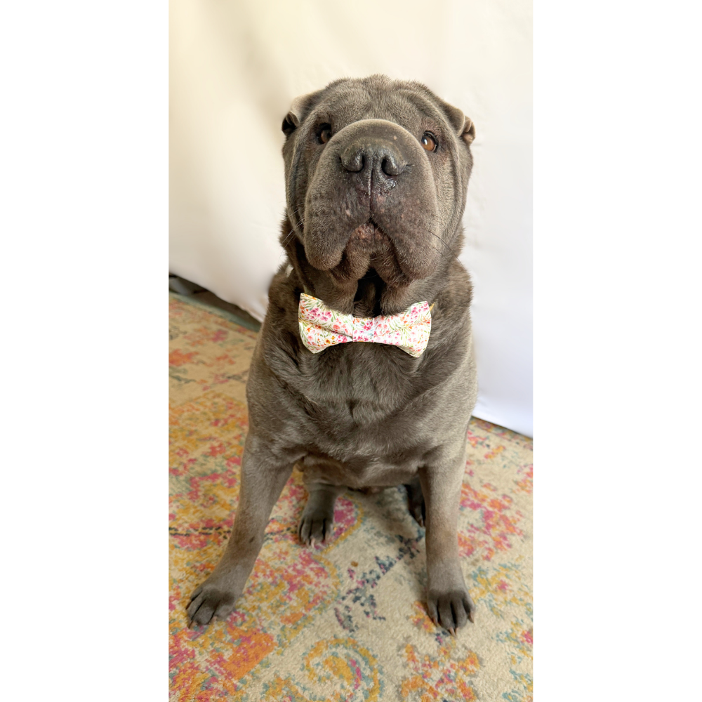 Pastel Spring Florals Bow Tie For Pets