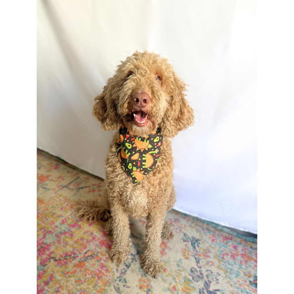 Dinosaur Tacos Cinco De Mayo Reversible Bandana for Pets