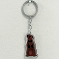 Chocolate Lab