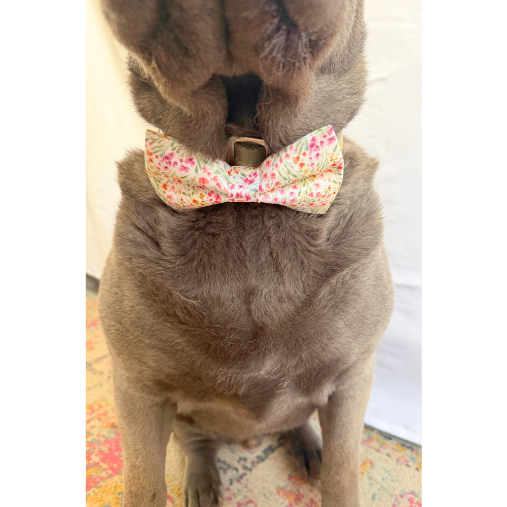 Pastel Spring Florals Bow Tie For Pets