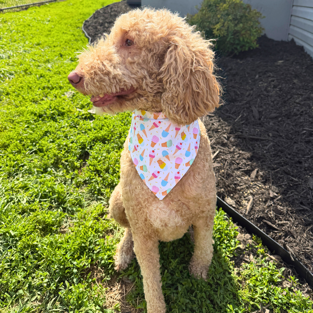Summer Ice Cream Cones Bandana