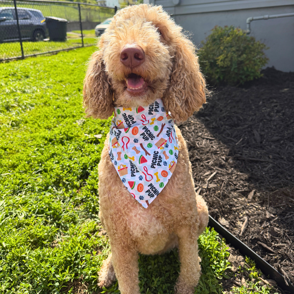 Picnic Pup Summer Bandana