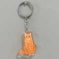 Orange Tabby Cat