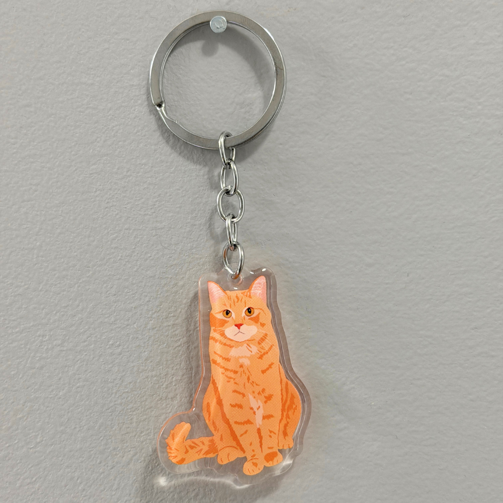 Orange Tabby Cat