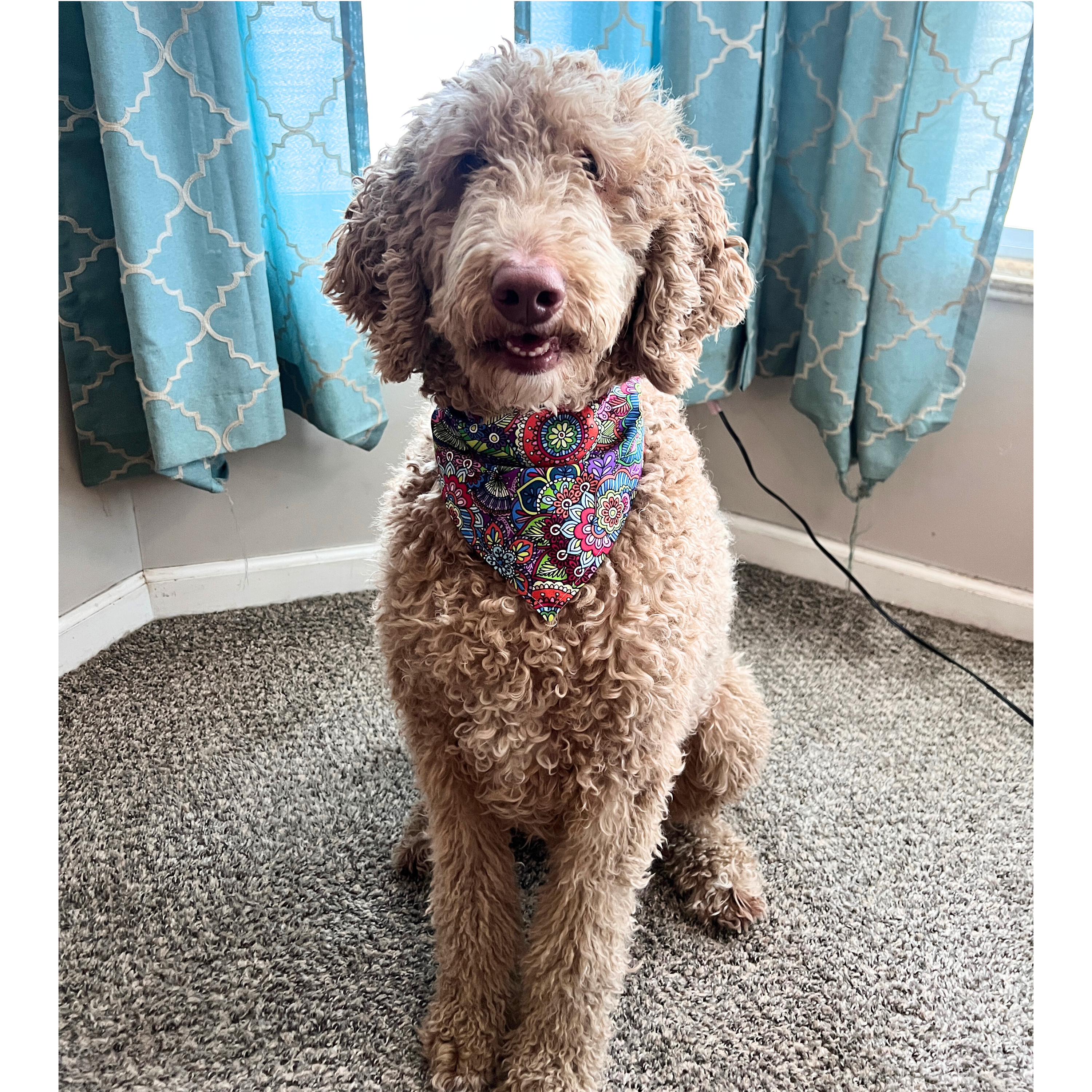 Funky Kaleidoscope Bandana
