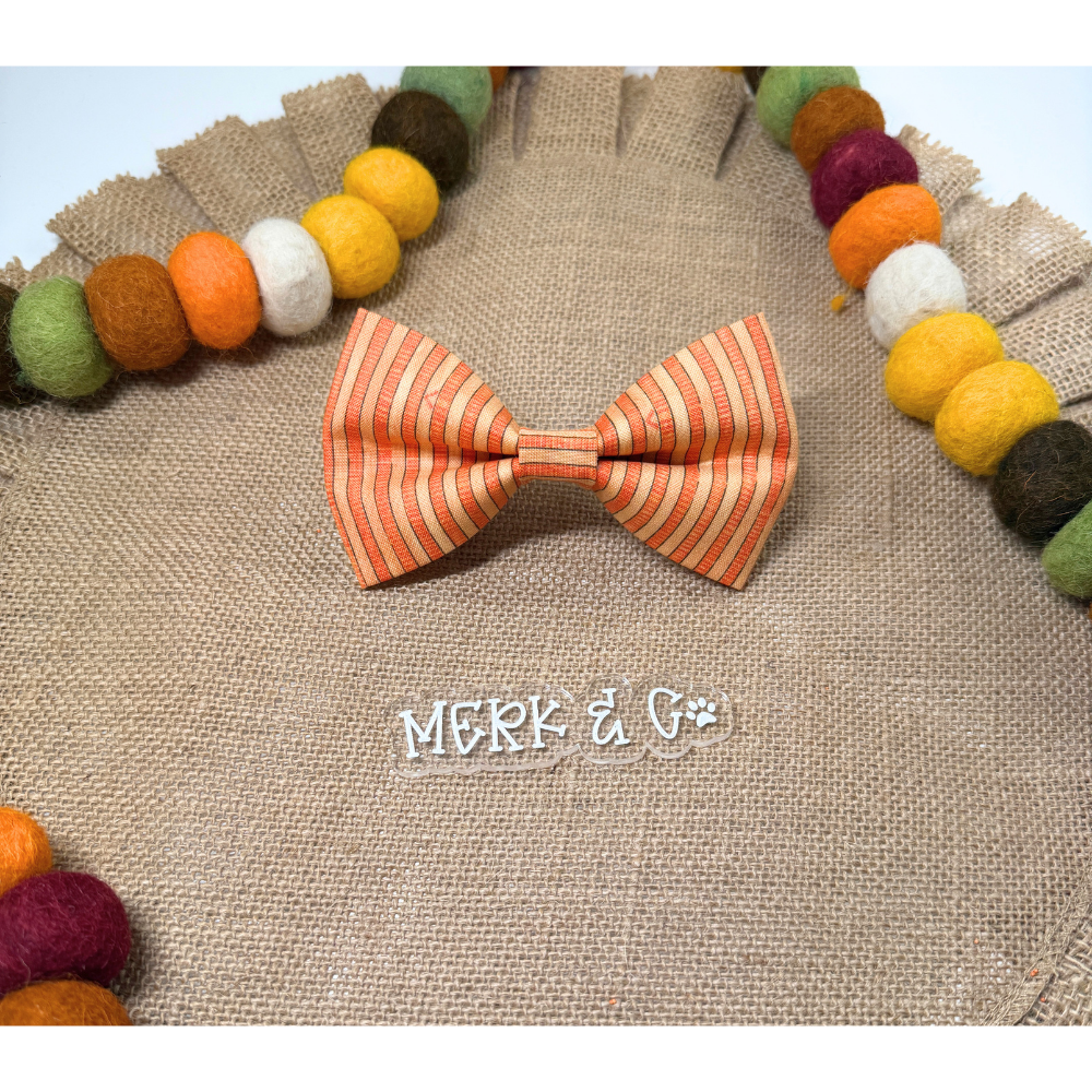 Fall Stripes Bow Tie