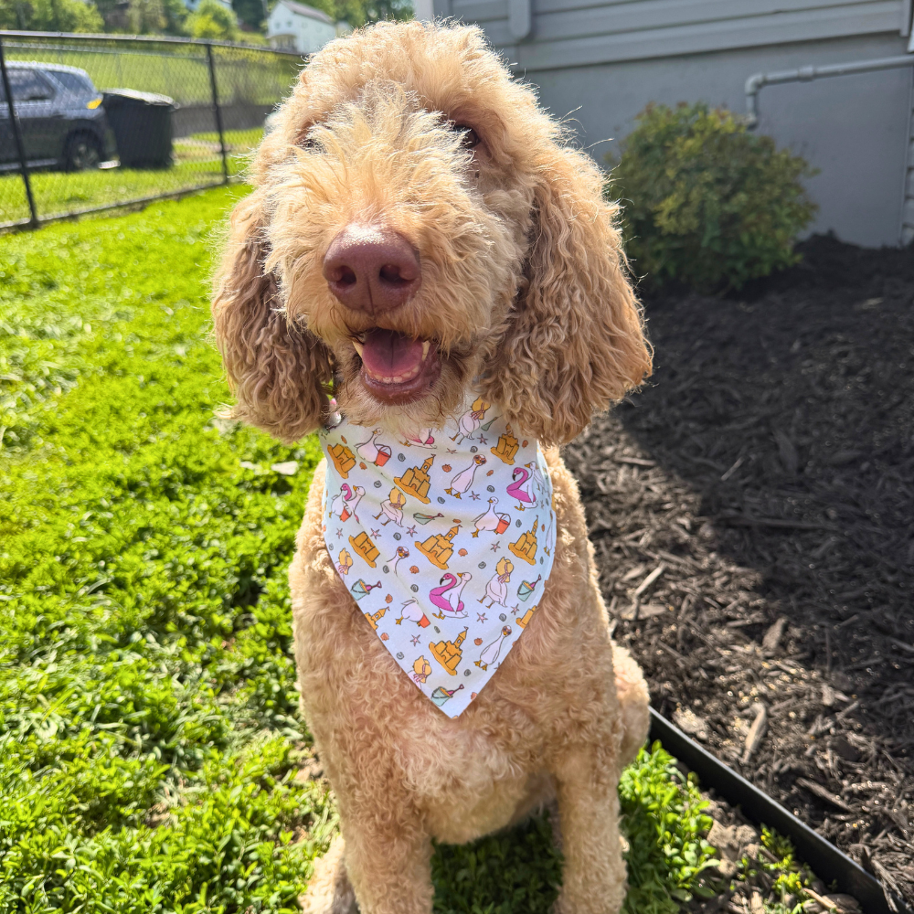 Geese on the Beach Bandana