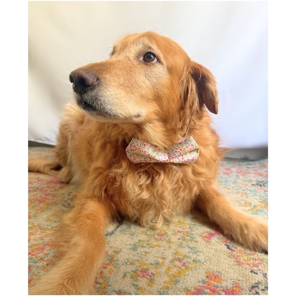 Pastel Spring Florals Bow Tie For Pets