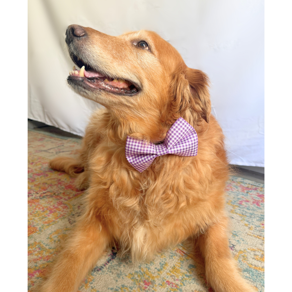 Purple Gingham Spring Bow Tie For Pets