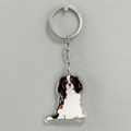 Cavalier King Charles