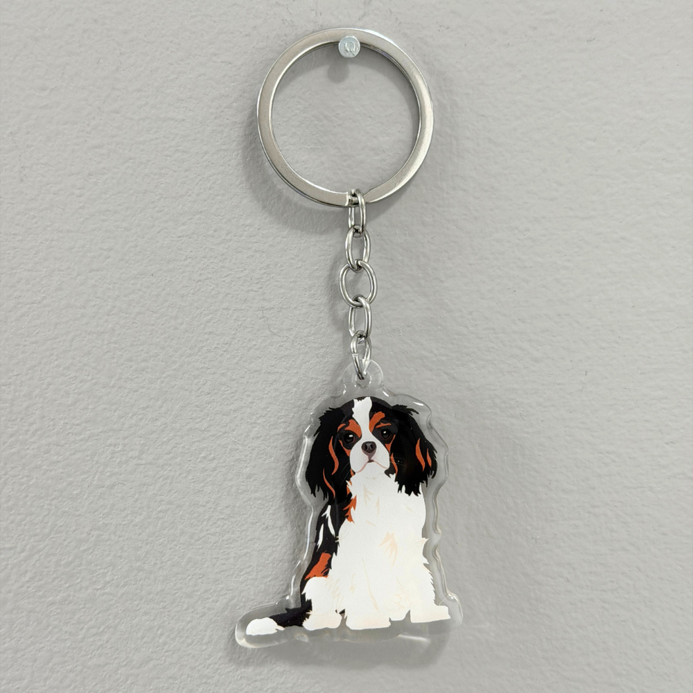 Cavalier King Charles