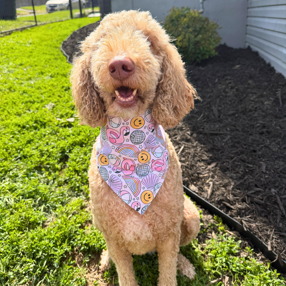 Flamingo Pool Party Bandana