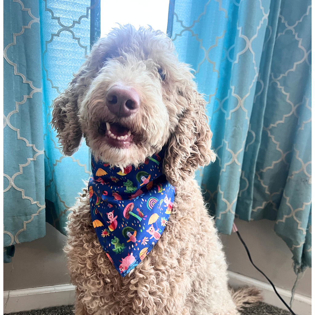 Pigs In The Rain Bandana