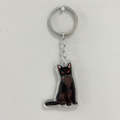 Black Cat