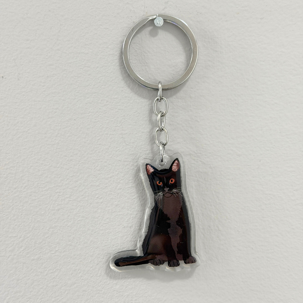 Black Cat