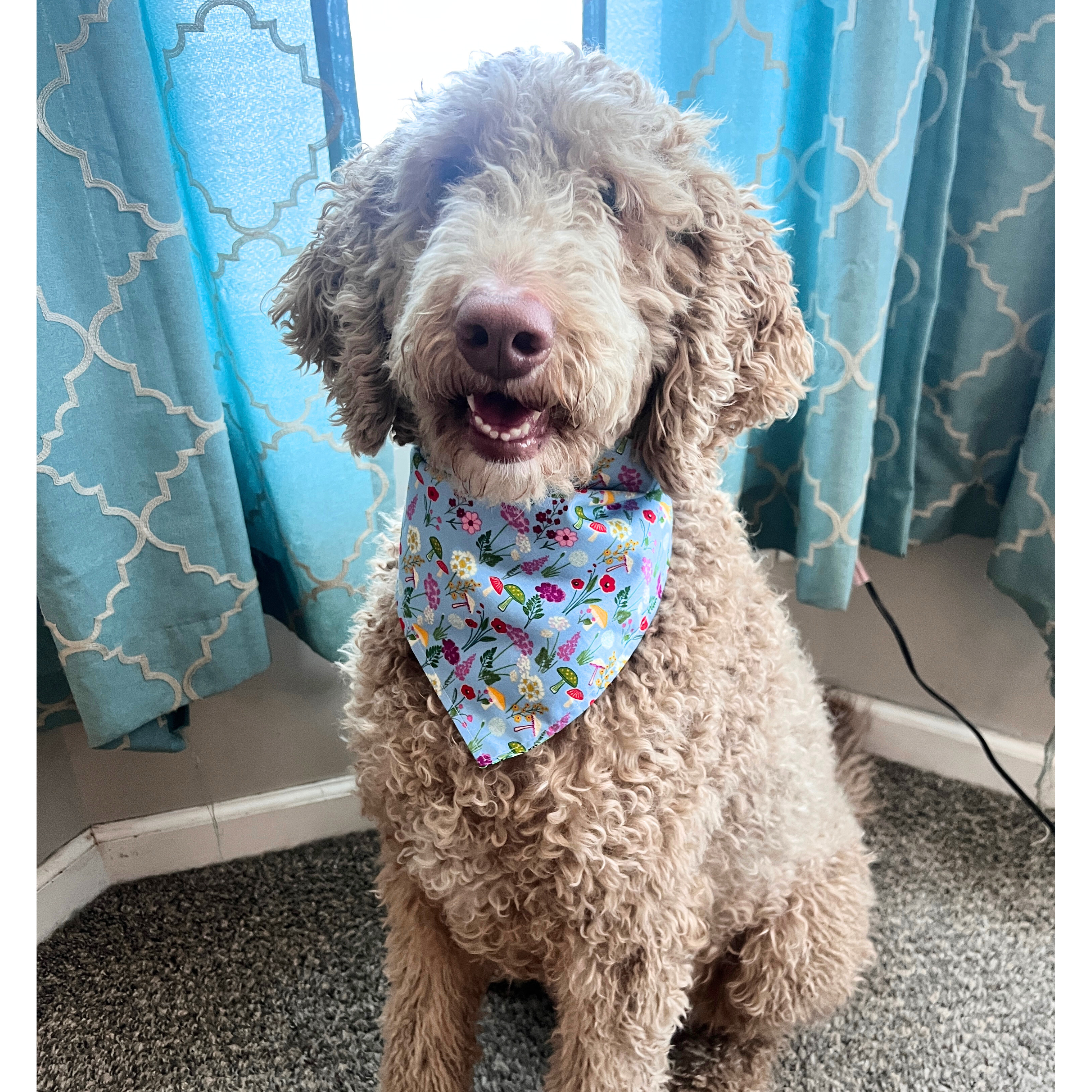 Spring Mushrooms Bandana