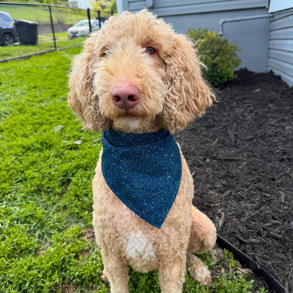 Blueberry Lemonade Bandana