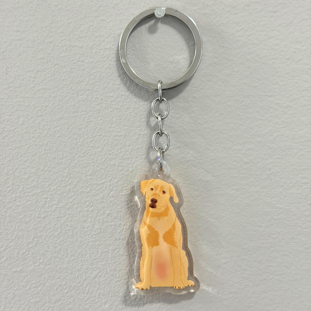 Yellow Lab