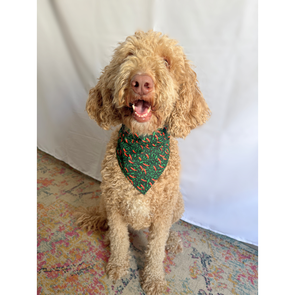 Dinosaur Tacos Cinco De Mayo Reversible Bandana for Pets