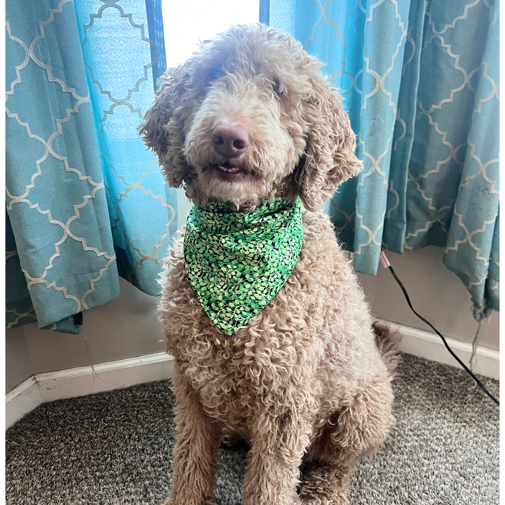 Spring Mushrooms Bandana
