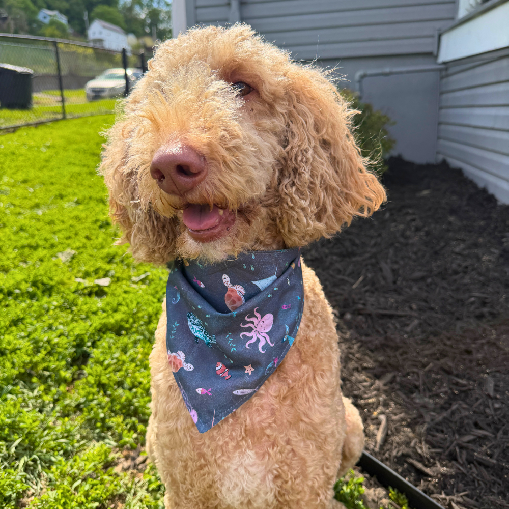 Under The Sea Bandana