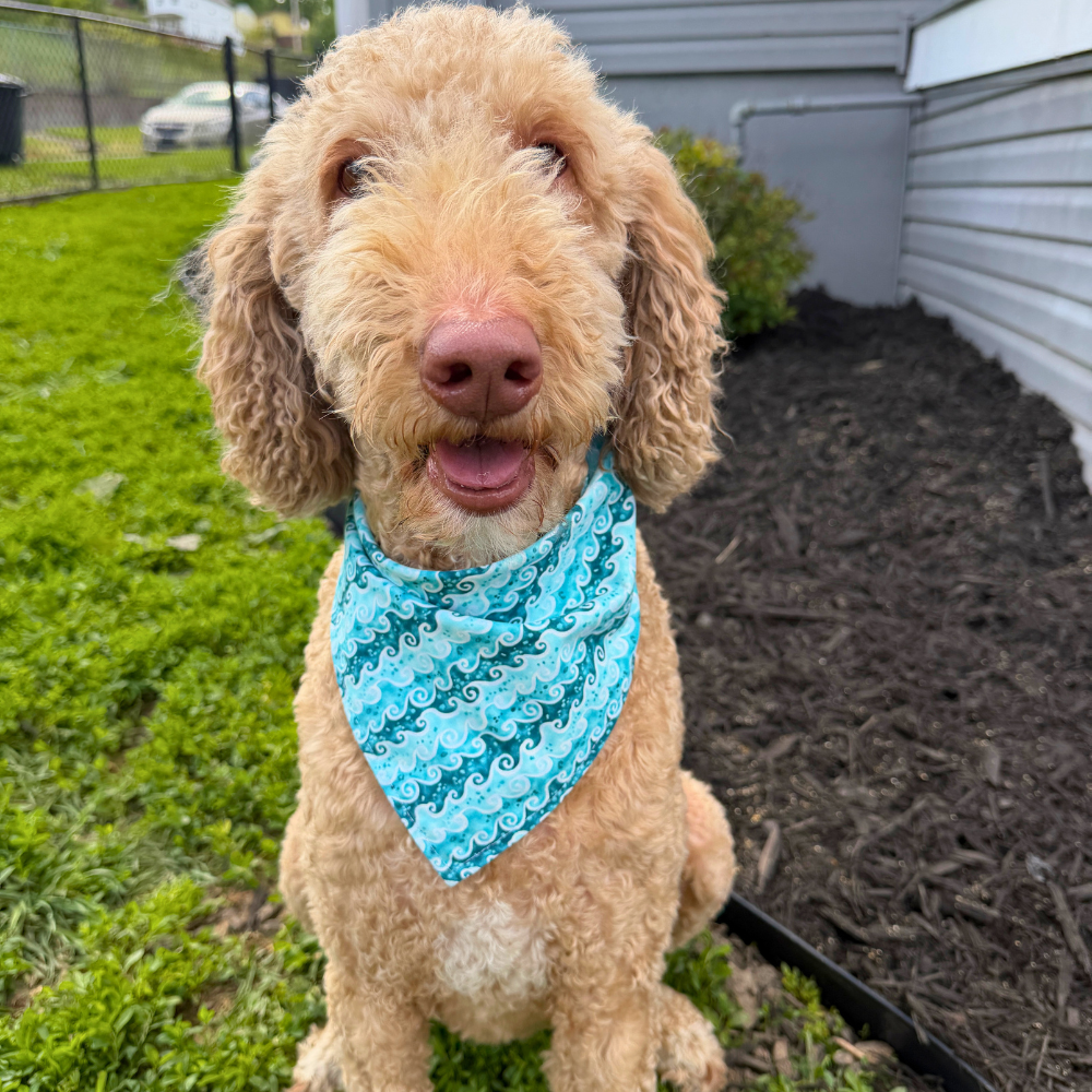 Under The Sea Bandana