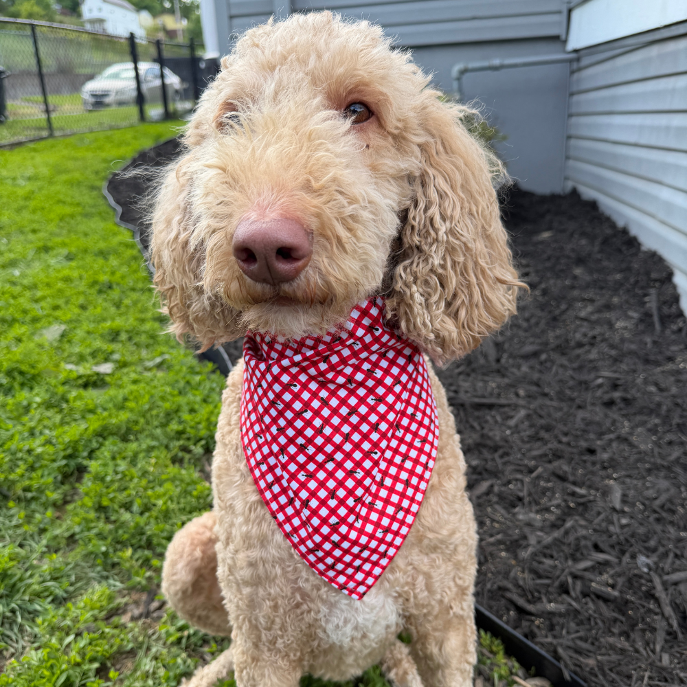 Sweet Strawberry Picnic Bandana