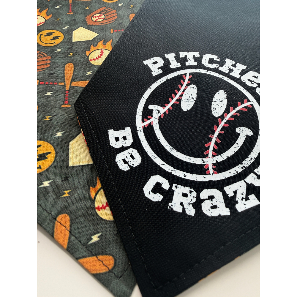 Checkered Pitches Be Crazy Reversible Baseball Bandana for Pets
