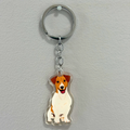 Jack Russell
