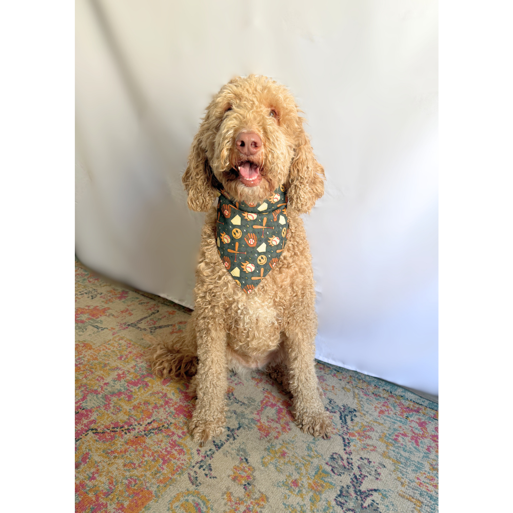 Checkered Pitches Be Crazy Reversible Baseball Bandana for Pets
